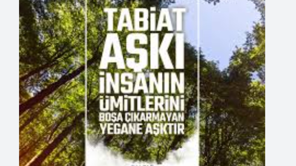 YEŞİL VATAN – BENİM OKULUM GELECEĞE ÇARE PROJESİ-Orman Sevgisi İle İlgili Duygu Bulutum Çalışması